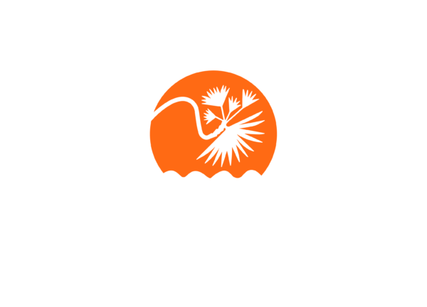 Grupo Jaragua Logo 01 Color 600x432
