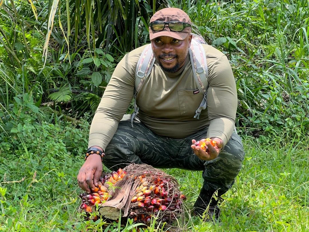 6adebcff 44cd 4e1e 8512 F15b92b29ee0