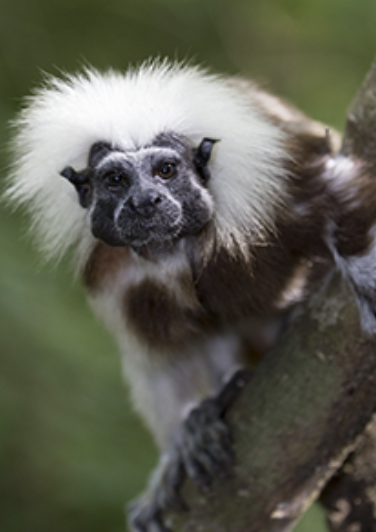 Screenshot 2025 11 17 at 23.19.13