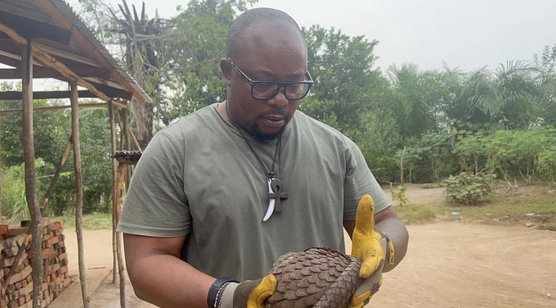 Screenshot 2025 11 18 at 10.47.31