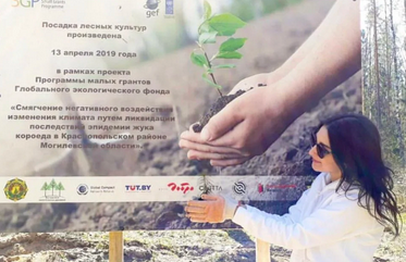 Screenshot 2025 11 18 220350