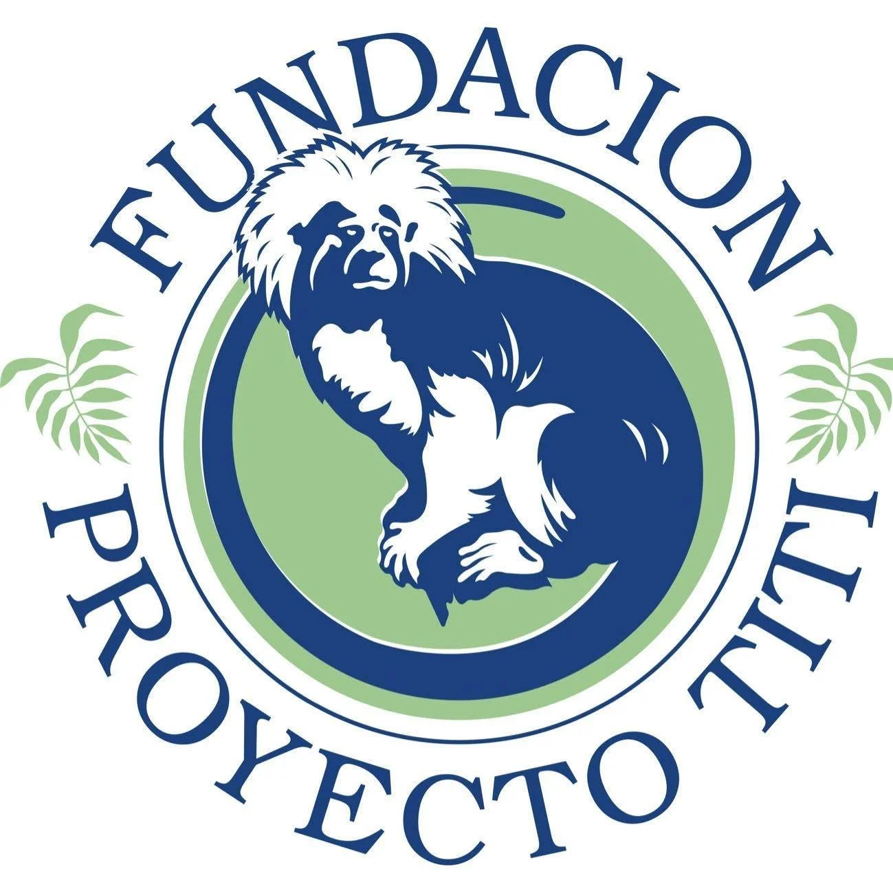 49650880 10156061088670949 2015855987142950912 N