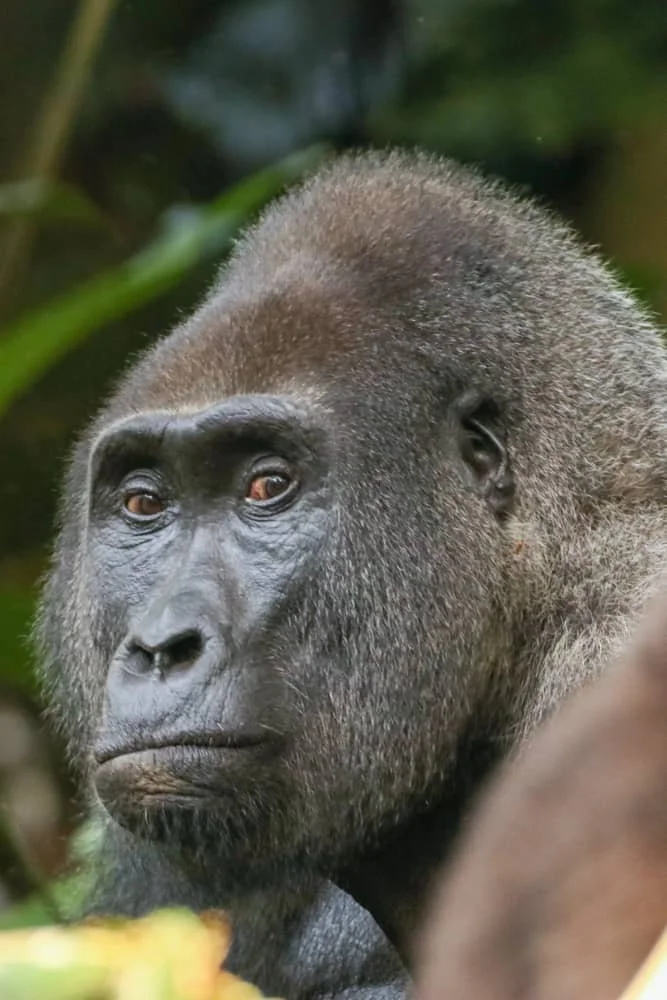 7a24d91c B3b4 45e3 Bc23 94c50282c7c1