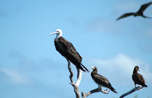 Screenshot 2025 11 18 221226