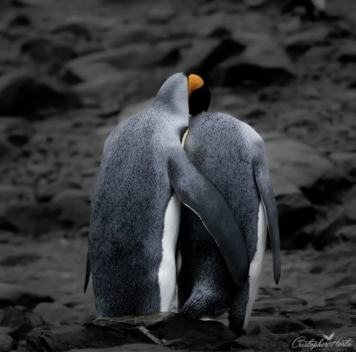 Screenshot 2025 11 17 at 10.02.14