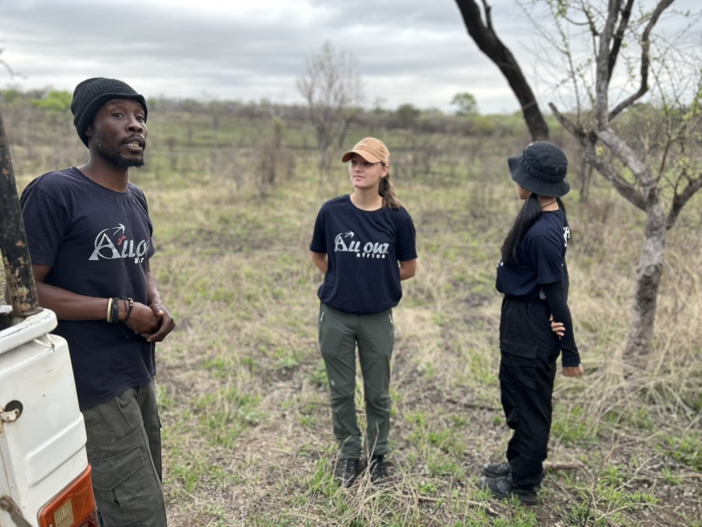 Copy of 32 a D6 B28 88 De 47 Ba B E9 C 62 C F6 Edde A26 1 105 C