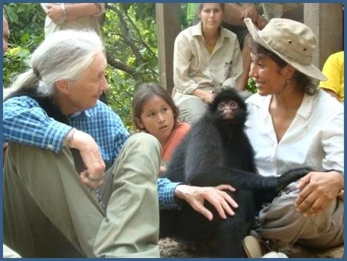 Goodall   Nena+ +copia