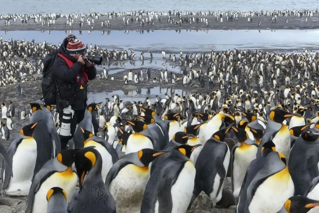 C336 B595 a F94 41 Ab 9128 F A285 F B326 Fe