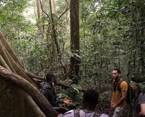 Screenshot 2025 11 18 at 10.07.15