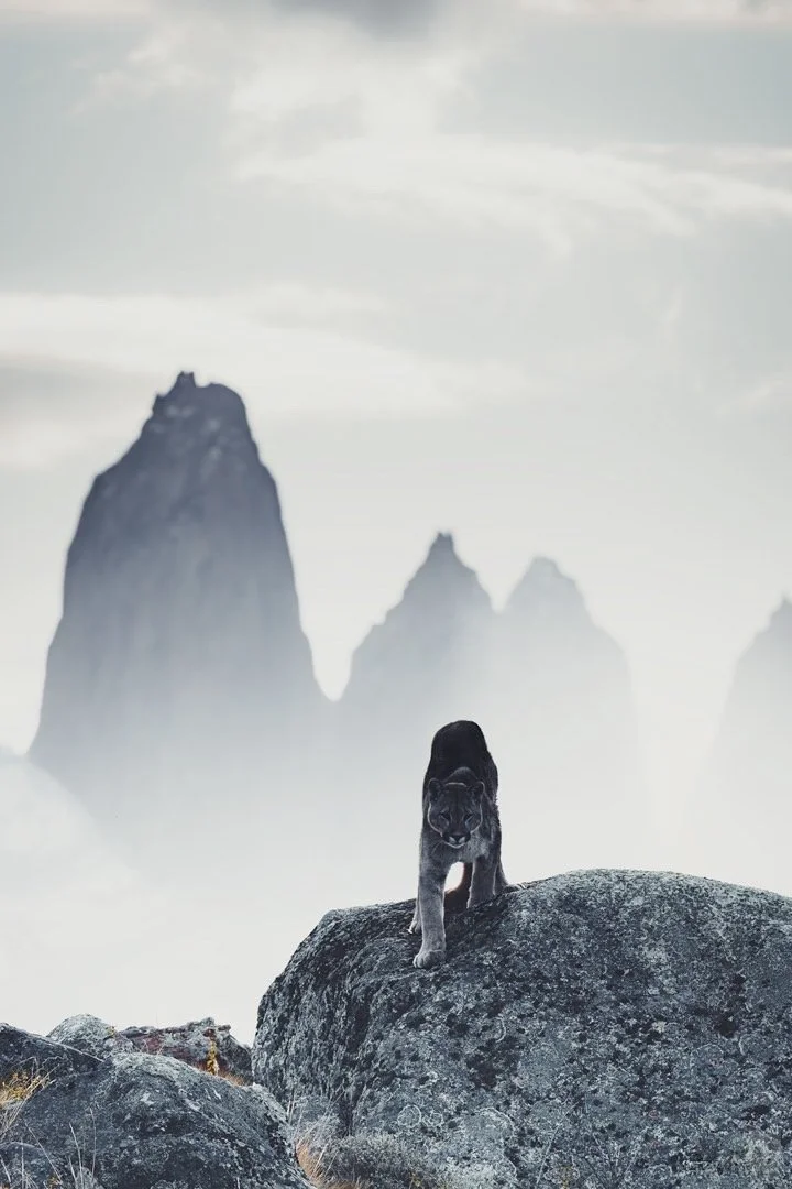 De B6594 F 9 E6 C 47 A5 B B90 64 E79 B0 E546 D