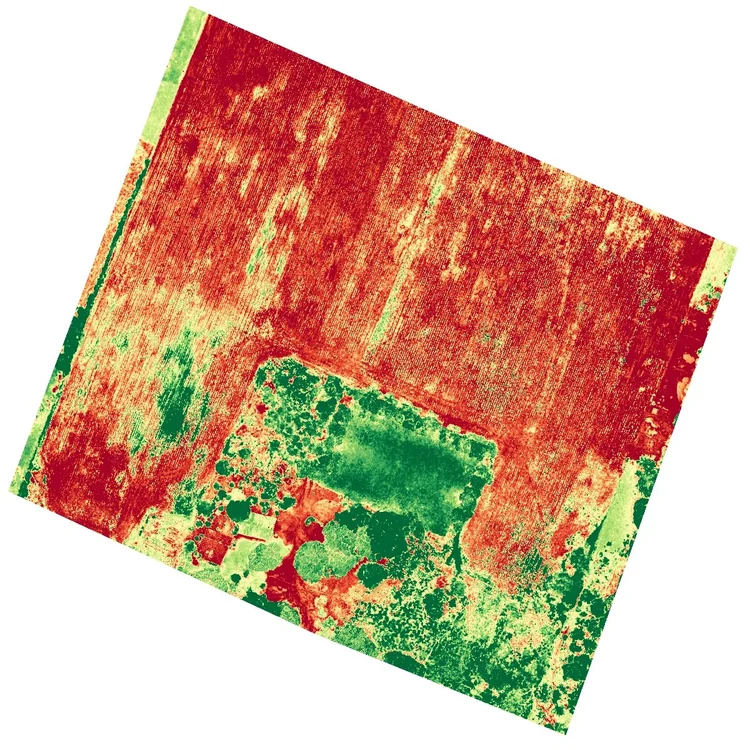 Galerias 1503179927375727923