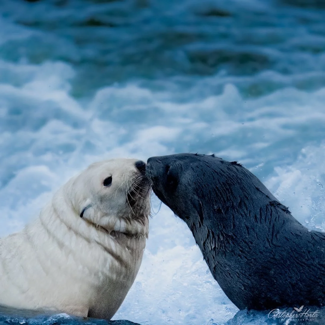 4 A9 Eec F2 F818 4 C01 A2 A0 92 D2879 F7641