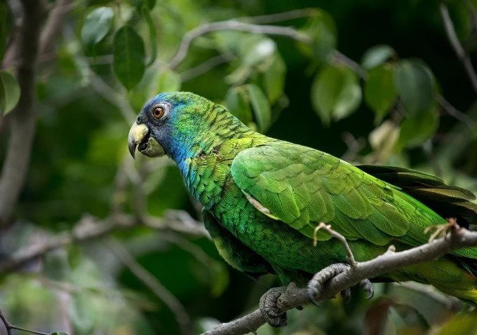 1c0be542 C715 4ba7 Af1e Ba10c62a7bd1