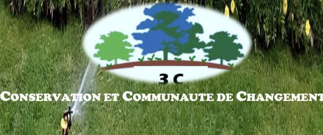 Screenshot 2025 11 16 at 22.23.38