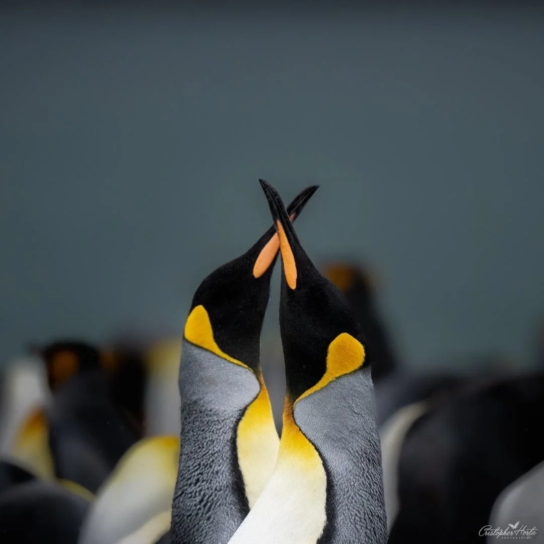 1 A71450 E 87 DB 46 A4 Adaf 4 A184 DB E4 B6 D