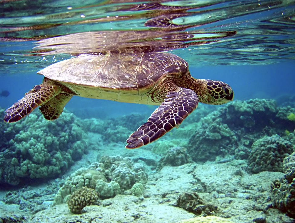 Screenshot 2025 11 18 at 09.56.52