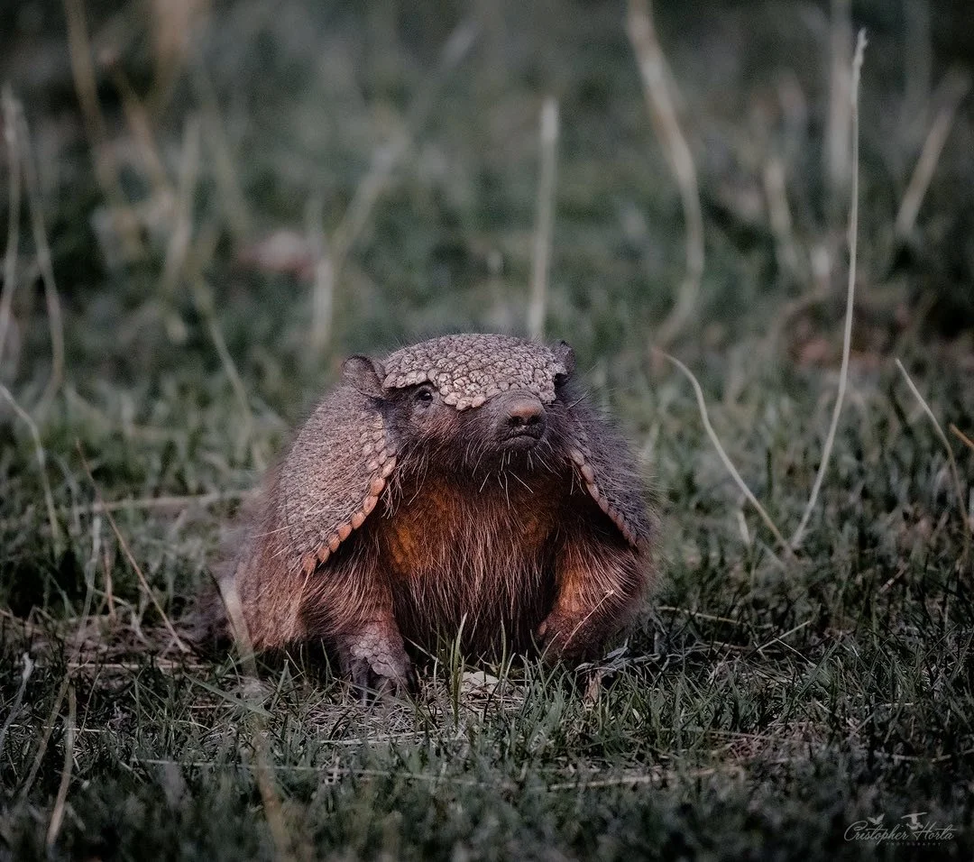 A6 A525 Fd B16 C 49 Ca Bfba 446 C5 B7 A824 F