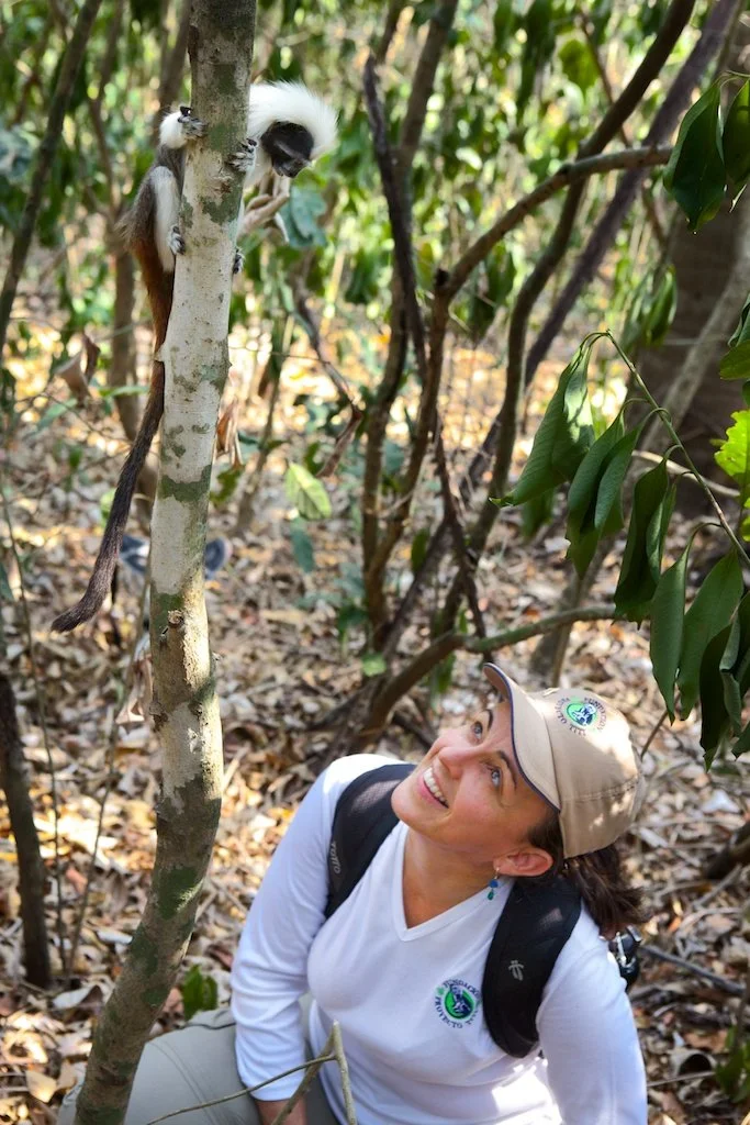 Rdh 2016 04 07 Dh 3596[12285]