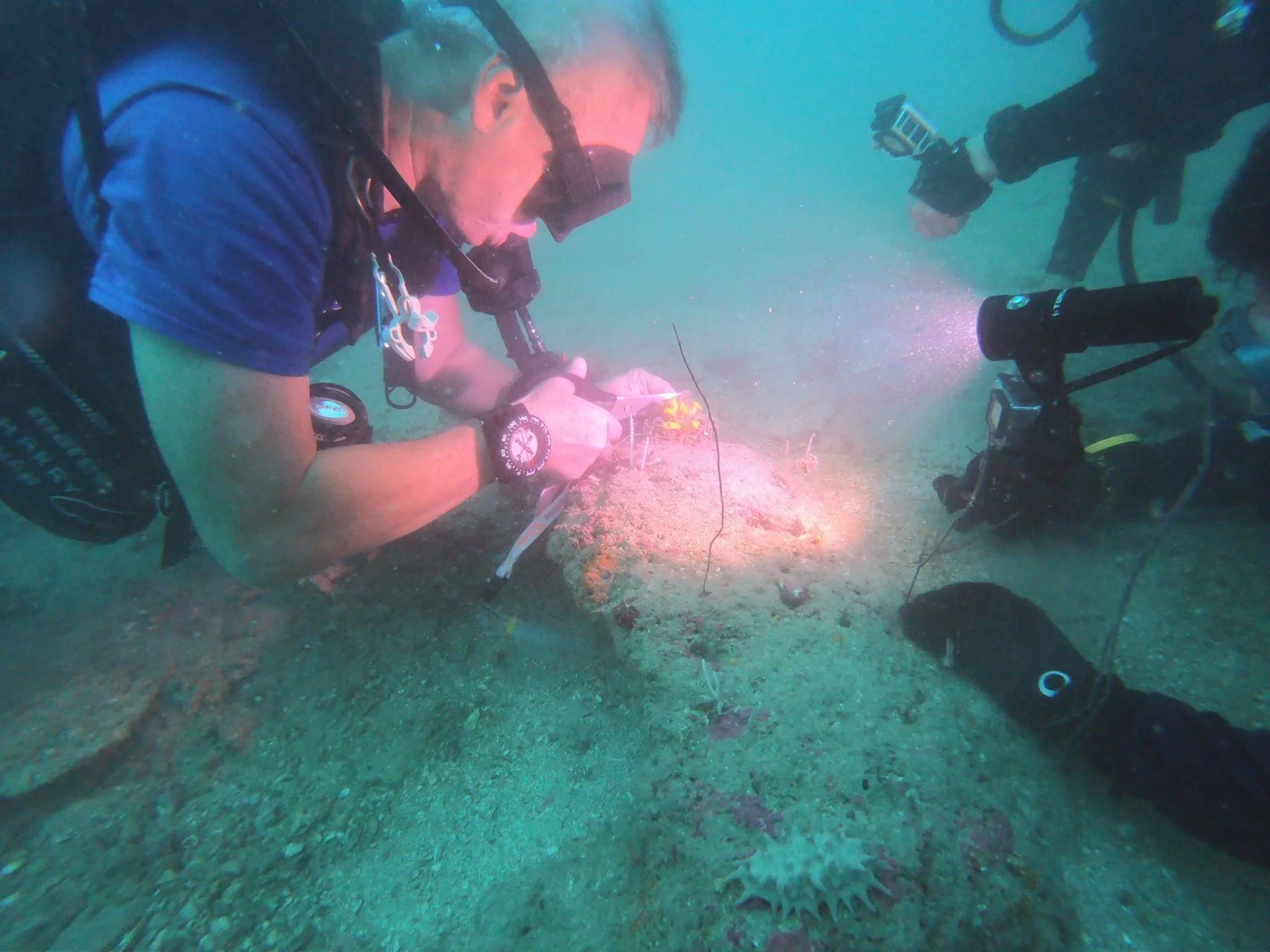 49015684 369654517124158 1618439609522323456 N