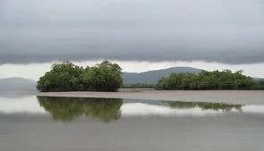 284ad48f18d9ddf25bf73106a8618904